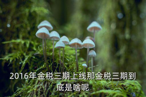 金稅三期雙軌是什么，金稅三期是什么意思