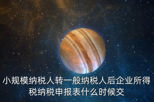 小規(guī)模申報什么時間，增值稅小規(guī)模納稅人2009年什么時候報年報