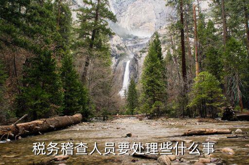 地稅局稽查員是做什么，國稅局的稽查是干什么的他們中有人講干不了的活可以抓人