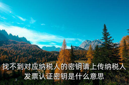 找不到對應納稅人的密鑰請上傳納稅人發(fā)票認證密鑰是什么意思