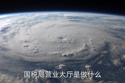 辦稅服務(wù)廳都做些什么，辦稅服務(wù)廳的基本服務(wù)包括哪些