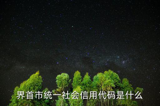統(tǒng)一社會(huì)信用代碼指什么，深圳碼統(tǒng)一社會(huì)信用代碼是什么