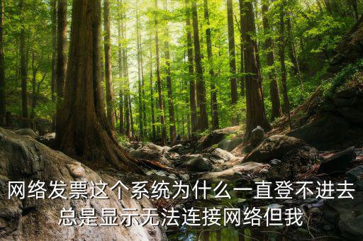 網(wǎng)絡(luò)發(fā)票 登錄密碼是什么情況，樂稅社區(qū)稅友咨詢問題增值稅發(fā)票查詢平臺登錄密碼是什么
