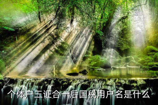 三證合一叫什么名字，個(gè)體戶三證合一后國稅用戶名是什么