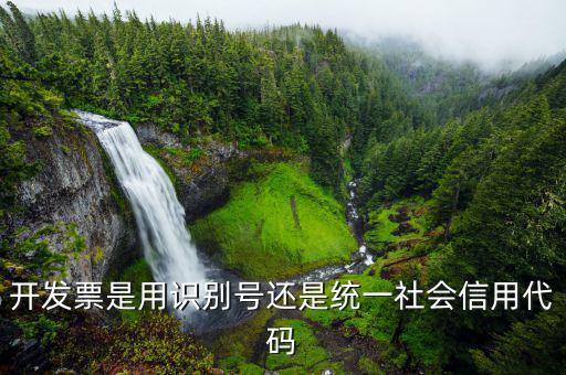 發(fā)票統(tǒng)一社會(huì)信用代碼是什么意思，開發(fā)票是用識(shí)別號(hào)還是統(tǒng)一社會(huì)信用代碼
