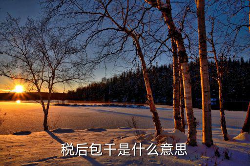 稅干是什么意思，干稅是什么意思