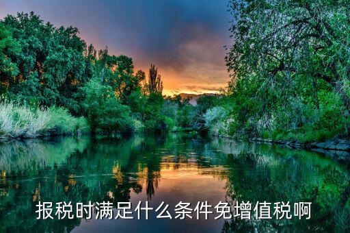 什么情況免征增值稅，哪些屬于免征增值稅