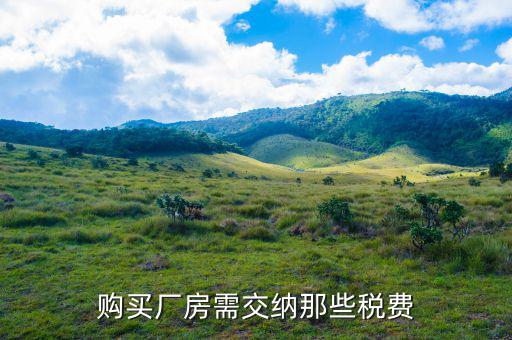 公司買廠房要交什么稅，購(gòu)買廠房需交納那些稅費(fèi)