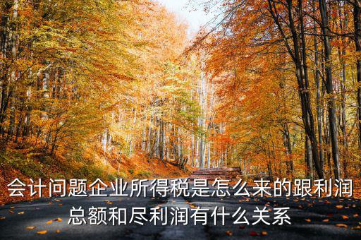 企業(yè)所得稅和什么有關，增值稅和企業(yè)所得稅有關系么