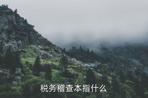什么叫稅務稽查檢查科臺帳范本，稅務稽查本指什么