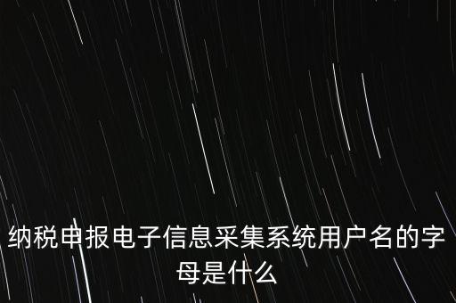 江蘇國稅電子稅務局登錄用戶名是什么意思，江蘇國稅網(wǎng)上辦稅服務廳的用戶名是什么