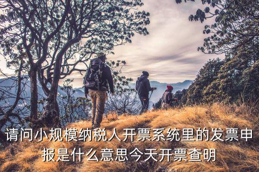 納稅人申報(bào)是什么意思，申報(bào)納稅是什么意思為什么取得營(yíng)業(yè)執(zhí)造后30天就申報(bào)還沒(méi)有銷售