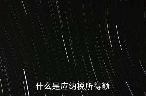 什么是年應(yīng)納稅所得額，什么是應(yīng)納稅所得額