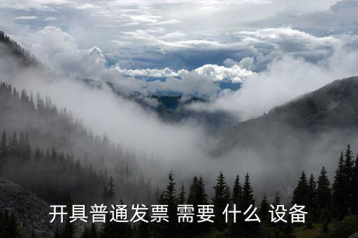 現在開普通票需要什么，開具普通發(fā)票 需要 什么 設備