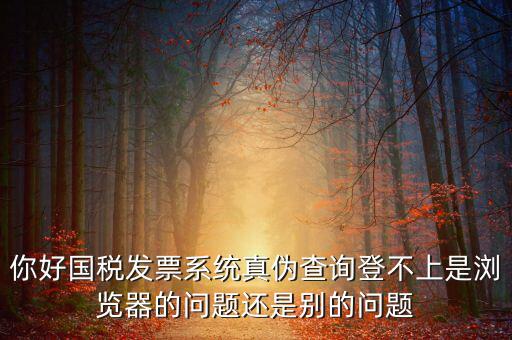 國稅登不上什么情況，為什么稅號密碼都對還是無法登錄國稅