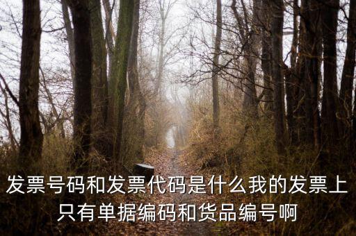 發(fā)票結(jié)存號碼是什么，發(fā)票號碼是指哪個號碼