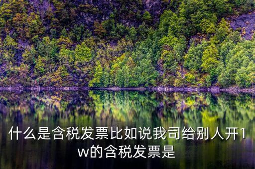 什么行業(yè)一般人發(fā)票含稅，什么類納稅人可以開增值稅專用發(fā)票