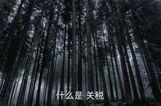 什么是國(guó)境關(guān)稅，關(guān)稅是什么