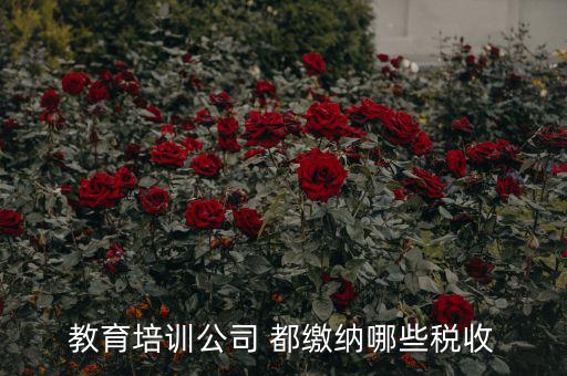 教育公司收取什么稅，教育培訓公司 都繳納哪些稅收