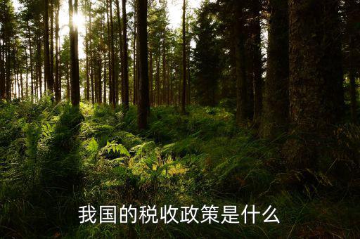 稅收屬于什么政策，我國的稅收政策是什么