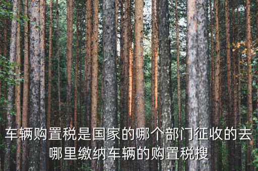 車購(gòu)稅局屬于什么，車輛購(gòu)置稅是國(guó)家的哪個(gè)部門征收的去哪里繳納車輛的購(gòu)置稅搜