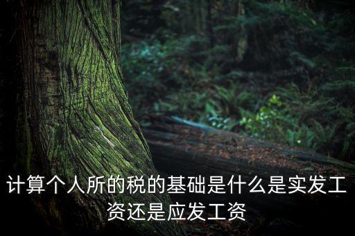 稅金的計算基礎(chǔ)是什么，計稅基礎(chǔ)是什么意思