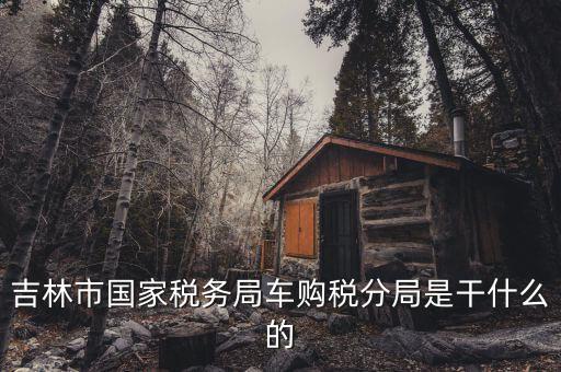車購稅局主要干什么，新車去地稅局干什么