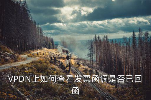 發(fā)票為什么會(huì)被復(fù)函，VPDN上如何查看發(fā)票函調(diào)是否已回函