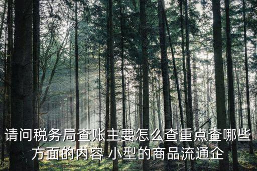 重點稅源稅務(wù)局看什么，稅務(wù)局主要看報表的什么