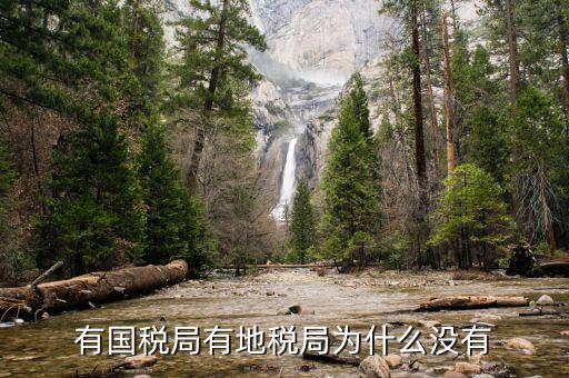 晨曦集團(tuán)地稅為什么少，社保為什么要地稅代扣
