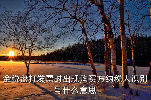 發(fā)票的付款方識別號是什么意思，開票方識別號是什么意思