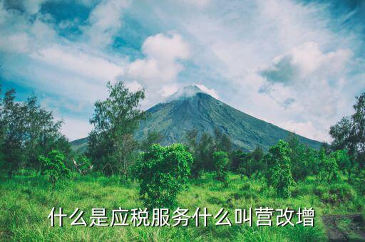 什么是營(yíng)改增應(yīng)稅服務(wù)，什么是應(yīng)稅服務(wù)什么叫營(yíng)改增