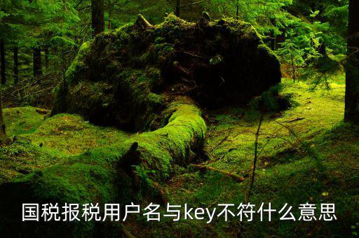 國稅報稅用戶名與key不符什么意思