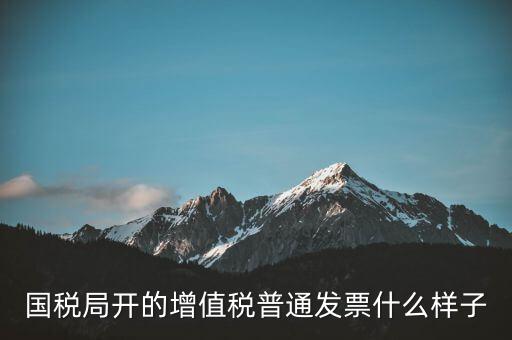 國(guó)稅局開(kāi)的增值稅普通發(fā)票什么樣子