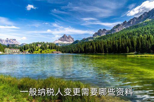 變更報稅人需要帶什么，公司變更納稅人需要帶什么材料