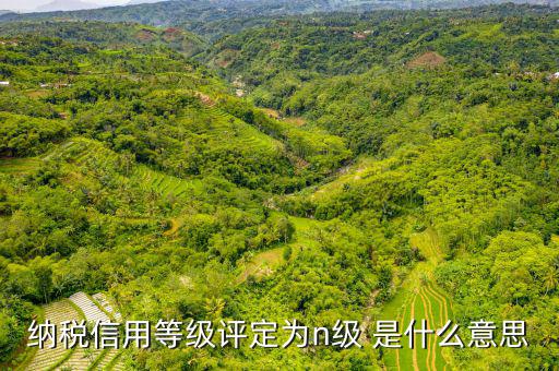 納稅信用等級b級是什么意思，納稅信用等級評定為n級 是什么意思