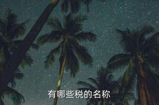 什么是稅收名稱大類，增值稅普通發(fā)票的商品名稱寫大類稅務(wù)局能通過嗎
