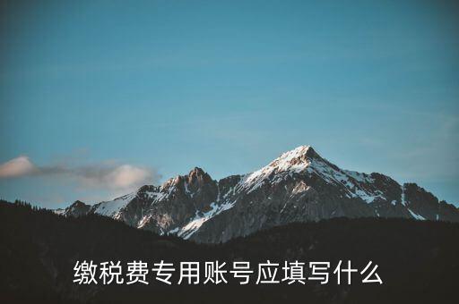 繳稅賬戶填什么，繳稅費(fèi)專用賬號(hào)應(yīng)填寫什么