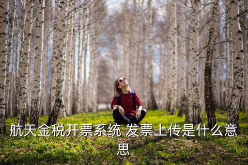 航天金稅是什么，航天金稅接口是什么意思呢