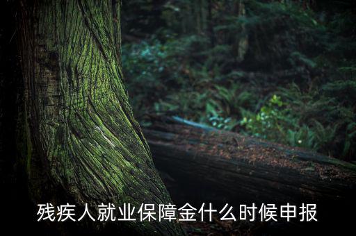 殘疾人保障金什么時(shí)候，殘疾人就業(yè)保障金怎么交什么時(shí)侯交會(huì)計(jì)分錄