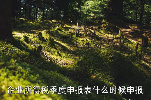季度稅是在什么時候報，年度季度企業(yè)所得稅申報時間