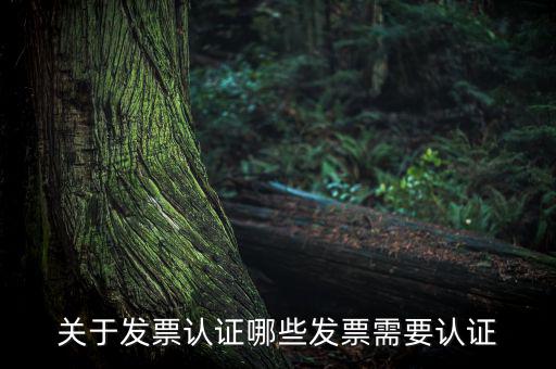 發(fā)票通過什么認證嗎，關于發(fā)票認證哪些發(fā)票需要認證