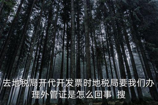 為什么要開電子外管證，像您咨詢一下關于外管證的事宜我前一陣開了外管證您說是避免