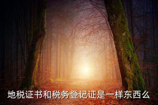 地稅登記證是什么，地方稅納稅資料封面上稅務(wù)登記證號(hào)是甚么