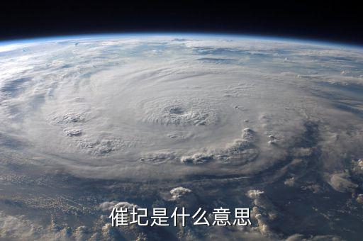 催報(bào)什么意思是什么意思是什么，催圮是什么意思