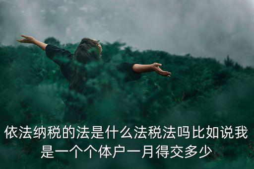 什么是依法納稅人，依法納稅的法是什么法稅法嗎比如說我是一個個體戶一月得交多少