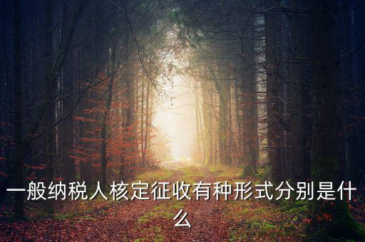 國(guó)稅函調(diào)是什么形式，國(guó)稅函調(diào)系統(tǒng)可以發(fā)起普通發(fā)票協(xié)查嗎