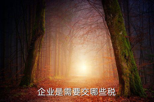 公司要交什么稅，企業(yè)是需要交哪些稅