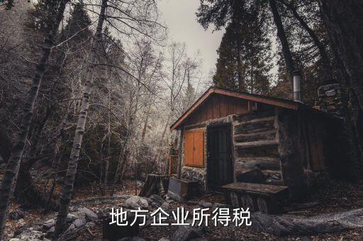 地方企業(yè)所得稅是什么，地方所得稅