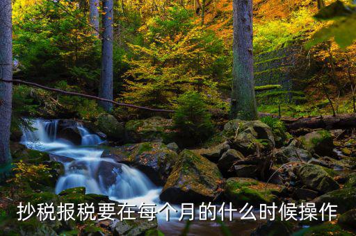 稅控盤什么時候抄報，抄稅報稅要在每個月的什么時候操作